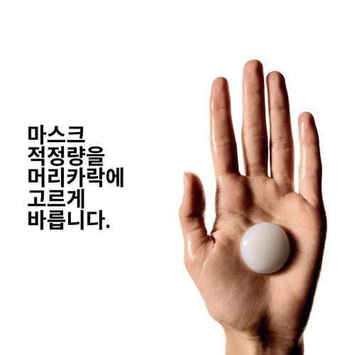 앱솔루트 리페어 몰큘러 마스크 - 로레알 프로페셔널 | L'Oréal 파트너샵